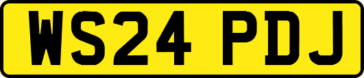 WS24PDJ