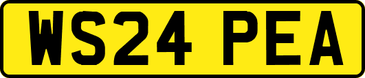 WS24PEA