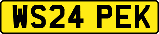 WS24PEK