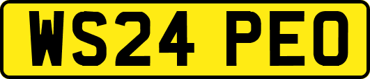 WS24PEO