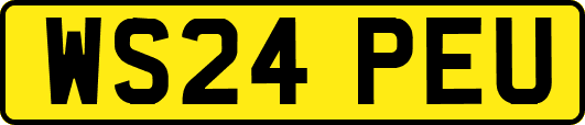 WS24PEU