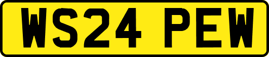 WS24PEW