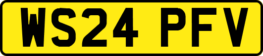 WS24PFV