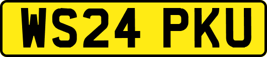 WS24PKU