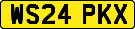 WS24PKX