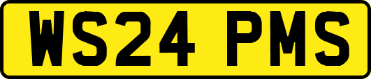 WS24PMS