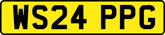 WS24PPG