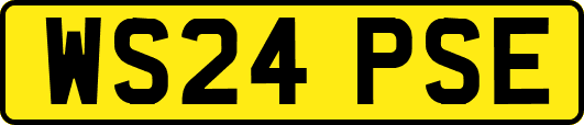 WS24PSE