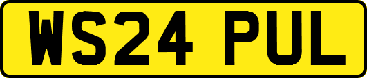 WS24PUL