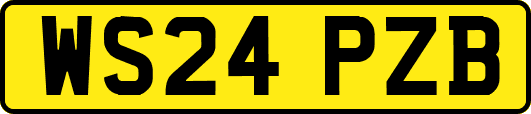WS24PZB