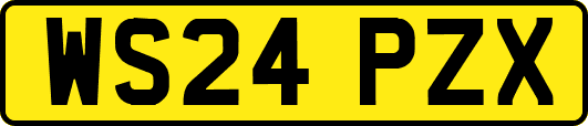 WS24PZX