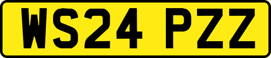 WS24PZZ