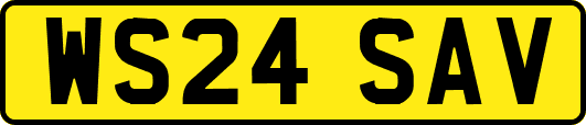 WS24SAV