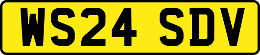 WS24SDV
