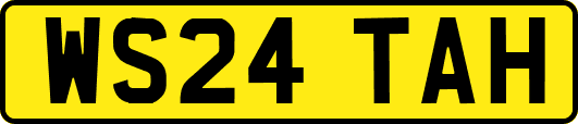 WS24TAH