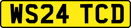 WS24TCD
