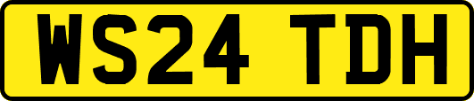WS24TDH