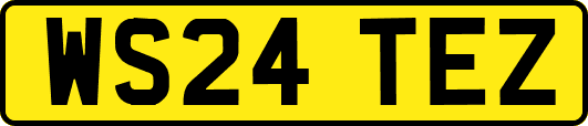 WS24TEZ