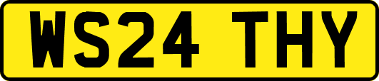 WS24THY