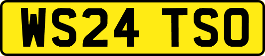 WS24TSO