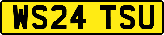 WS24TSU