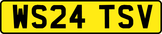 WS24TSV
