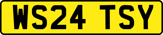 WS24TSY