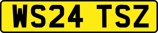 WS24TSZ