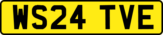WS24TVE