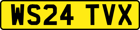 WS24TVX