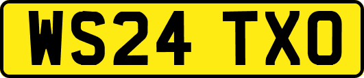 WS24TXO