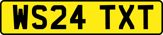 WS24TXT
