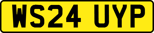 WS24UYP