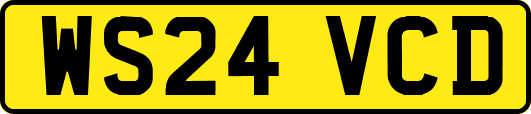 WS24VCD