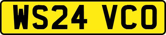 WS24VCO