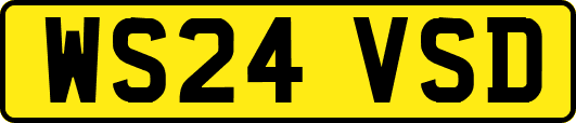 WS24VSD
