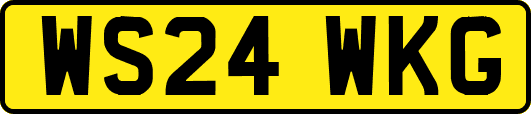 WS24WKG