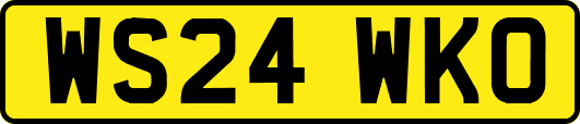 WS24WKO