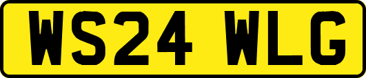 WS24WLG