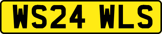 WS24WLS