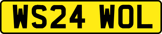 WS24WOL