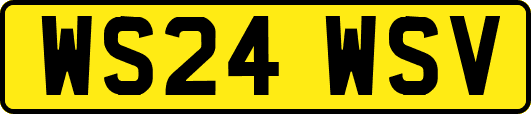 WS24WSV