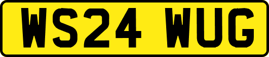 WS24WUG