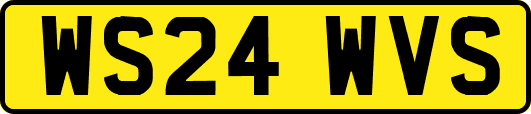 WS24WVS