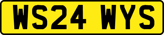 WS24WYS