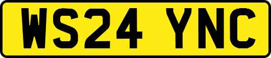 WS24YNC