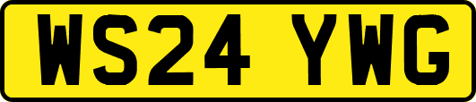 WS24YWG
