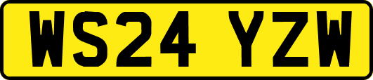 WS24YZW