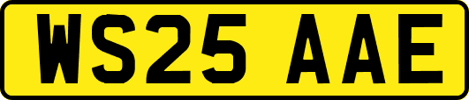 WS25AAE