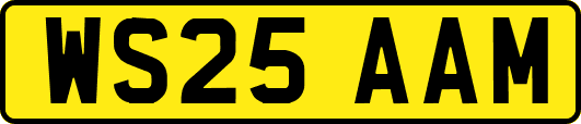 WS25AAM